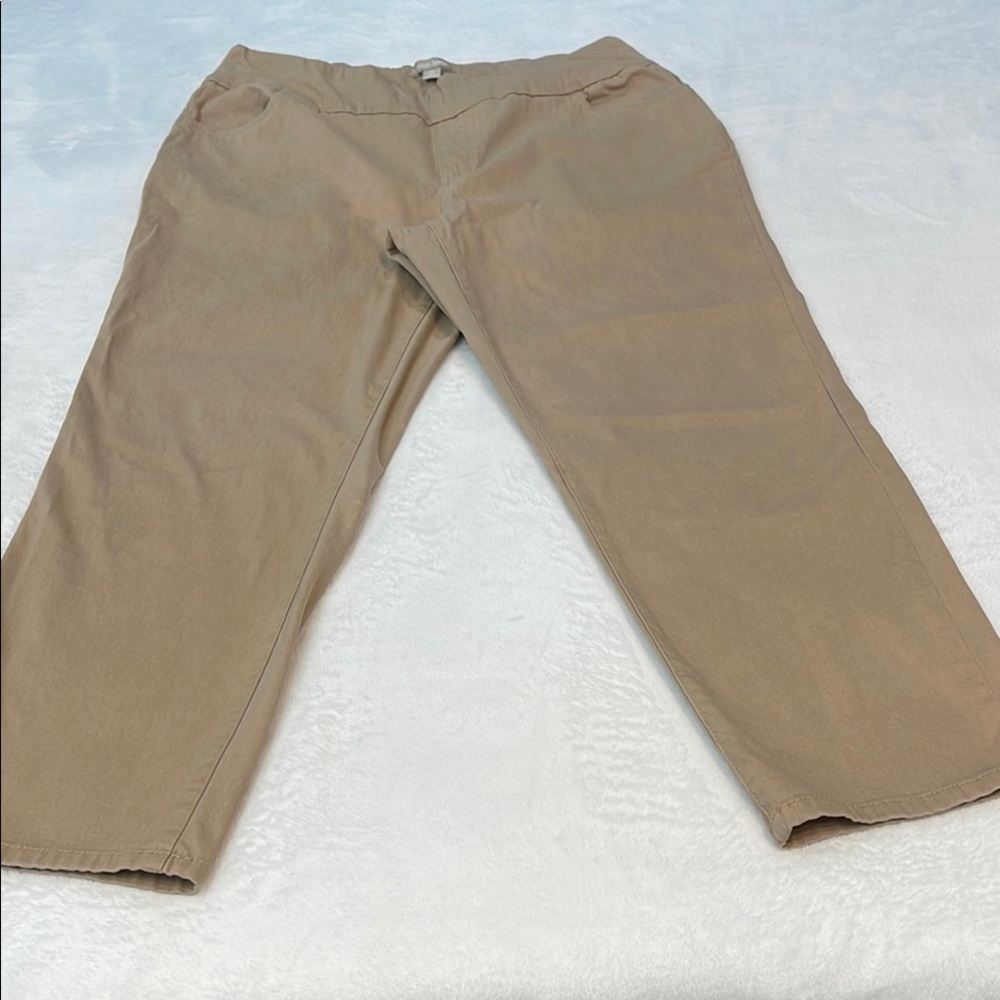Woman Within Tan Chinos Classic Straight-Leg SIZE 14 W PETITE. Pull on